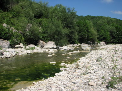 А это речка в Ольгинке, они там все такие мелки, горные. Немного зацвела в стоячей воде, но где течение вода в норме