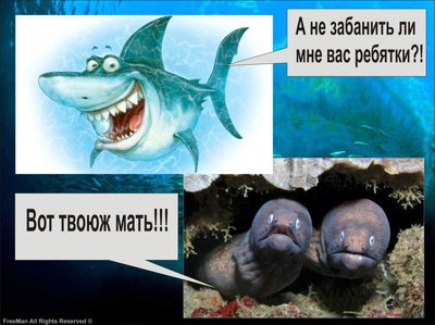 Admin-ам и User-ам Посвящается....)))