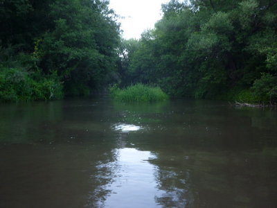 ПЕРЕБРОСКА, НИЗЫ ВЕДУГИ